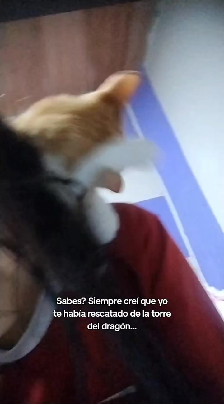 @Sthefy
