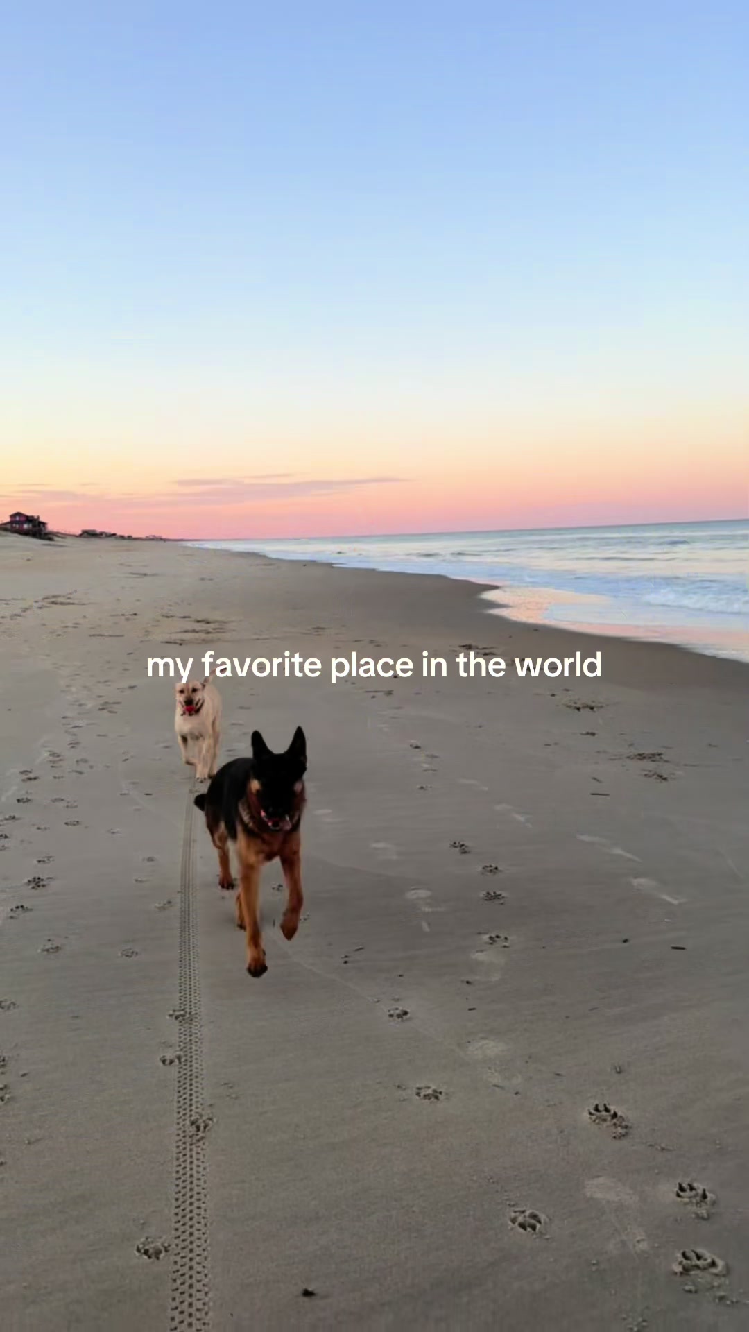 @Twiddy OBX