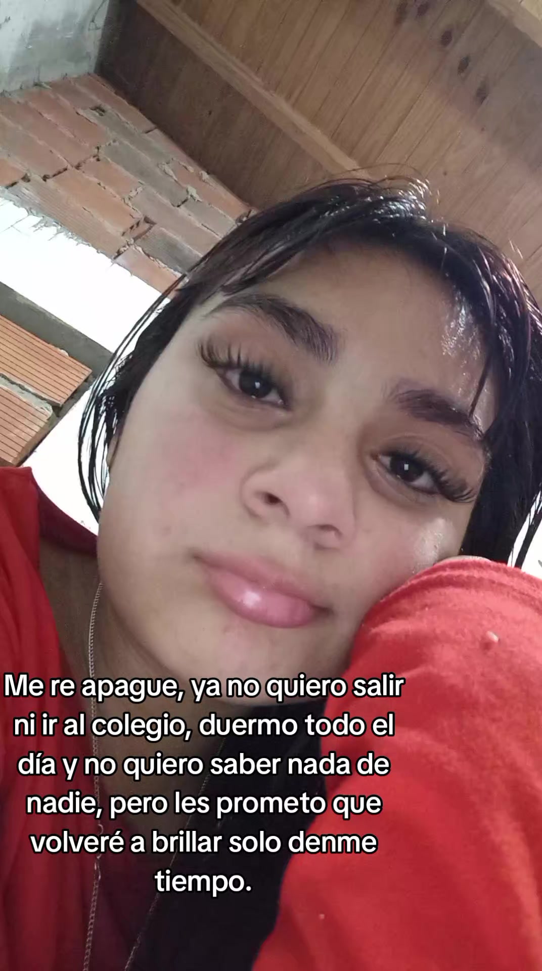 @shulamit