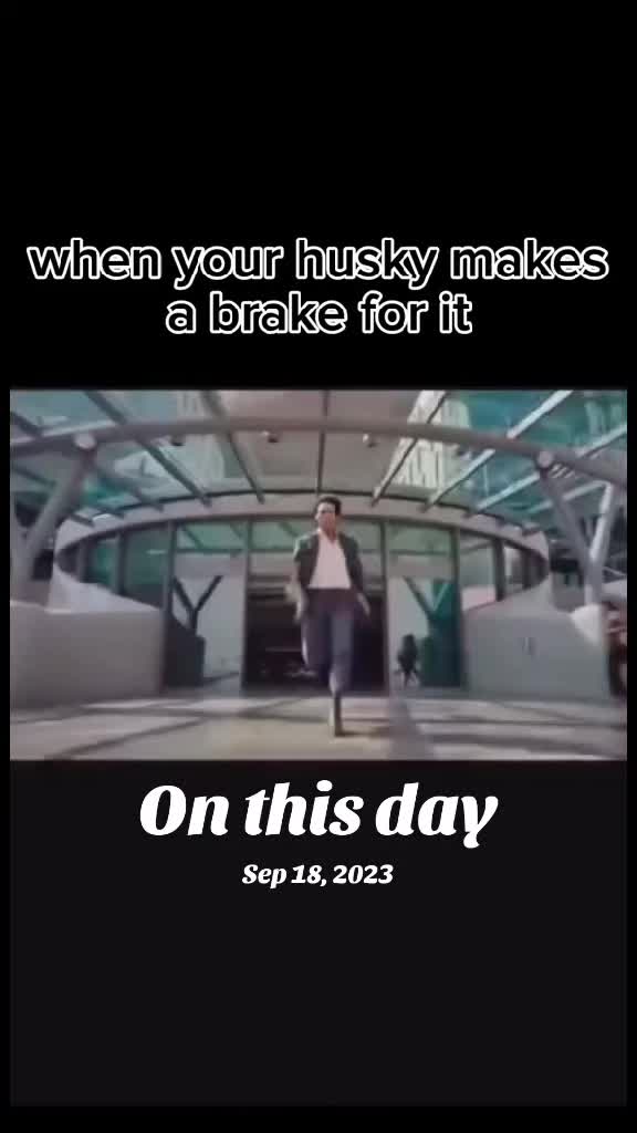 @🥔UselessPotatoKing🥔