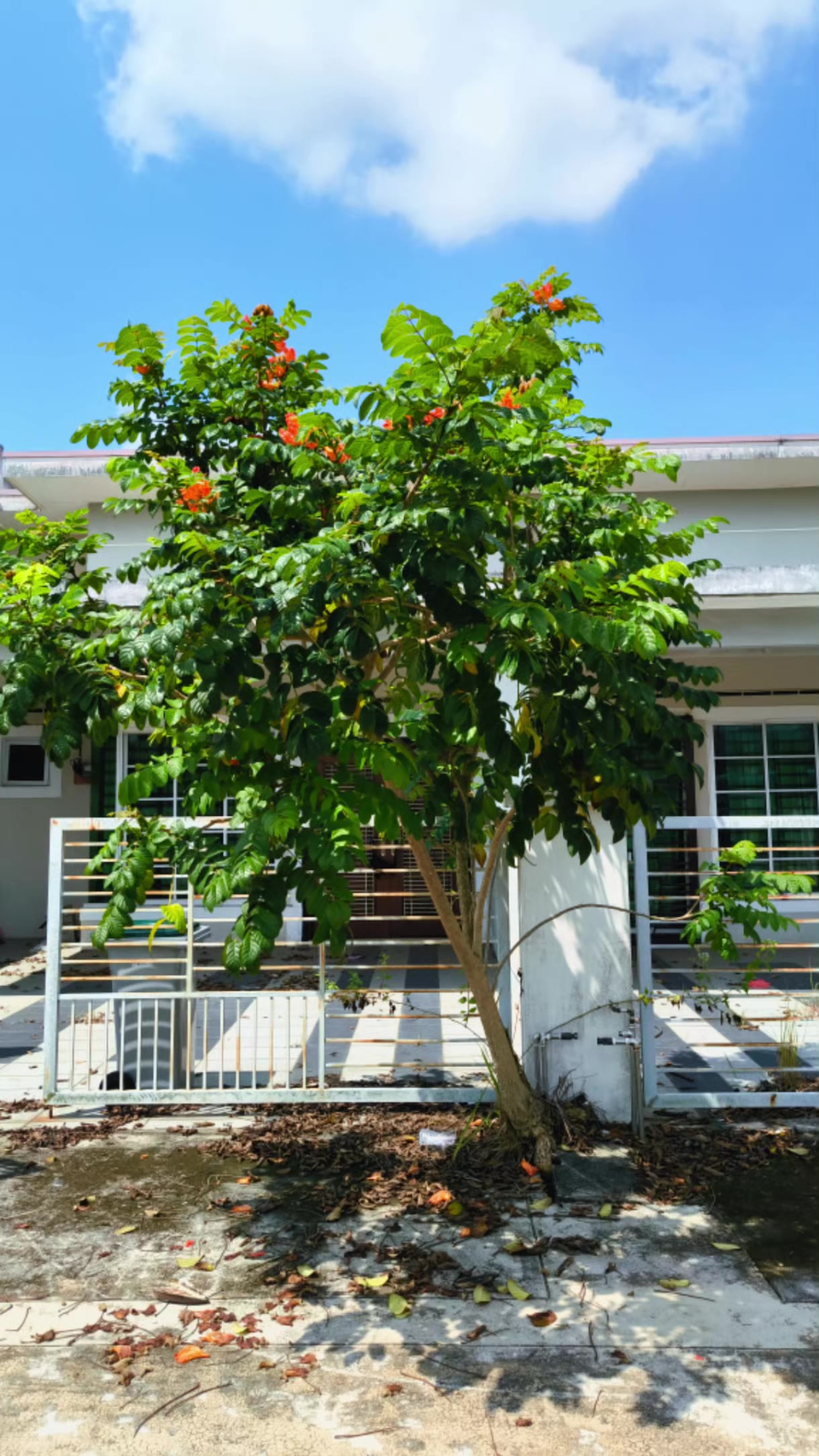 @3Fighters Services