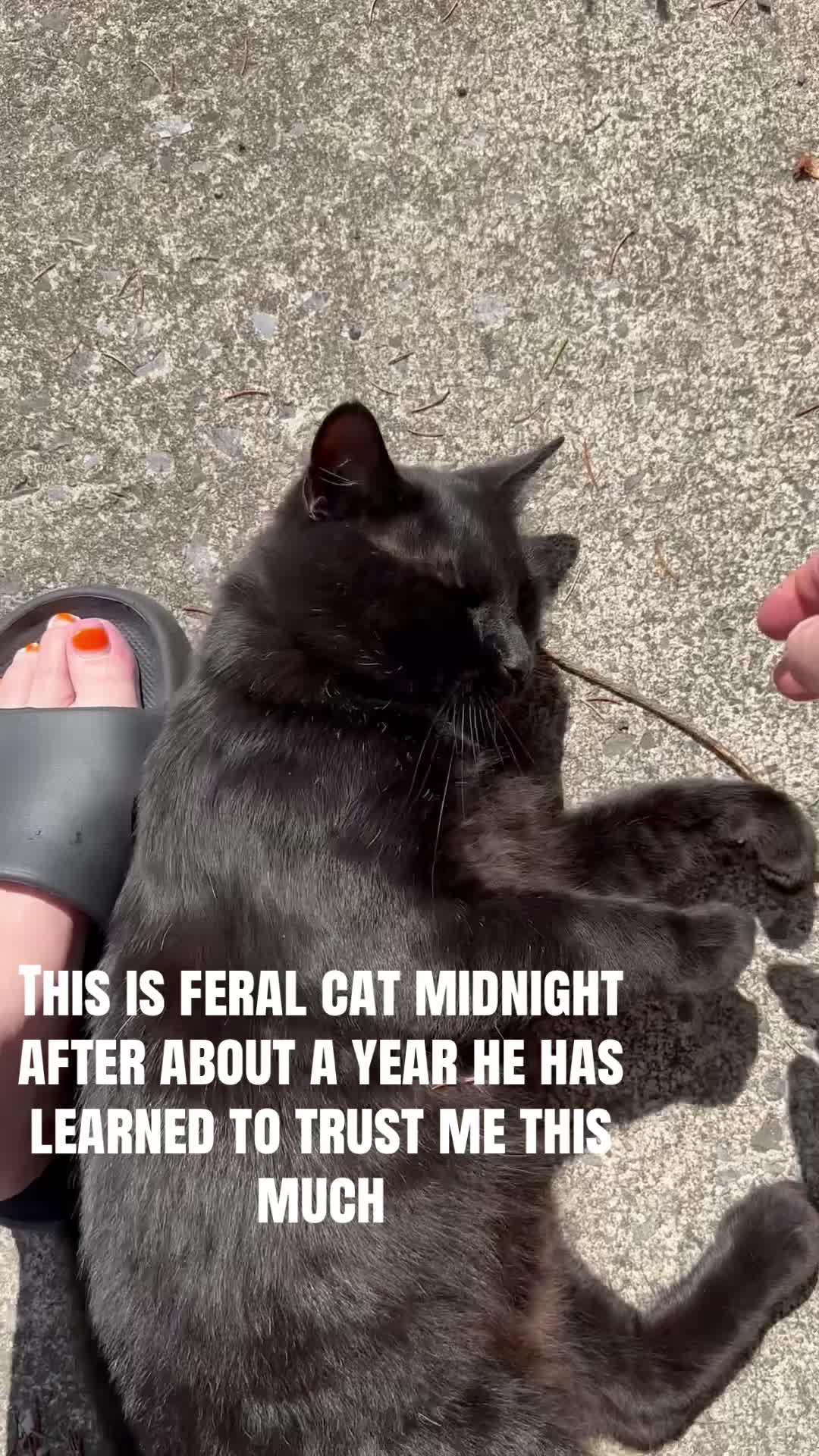 @Erin ❌G7 🐈⬛