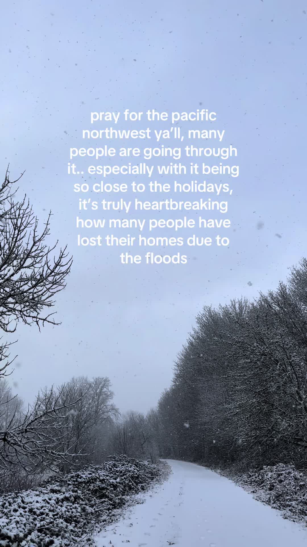 @pnw yolie &bull; 🌲☕️🌧️