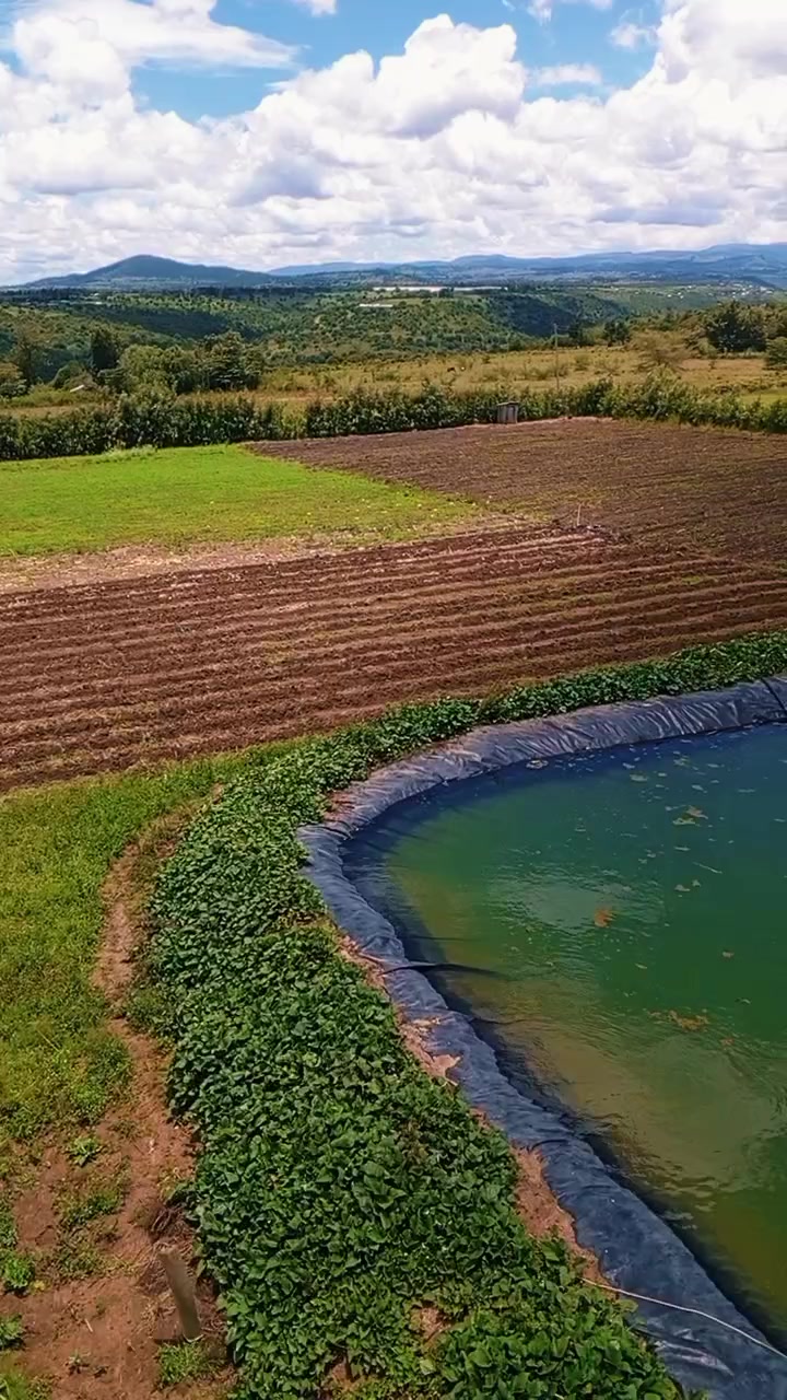 @JEFF TRICKS FARM