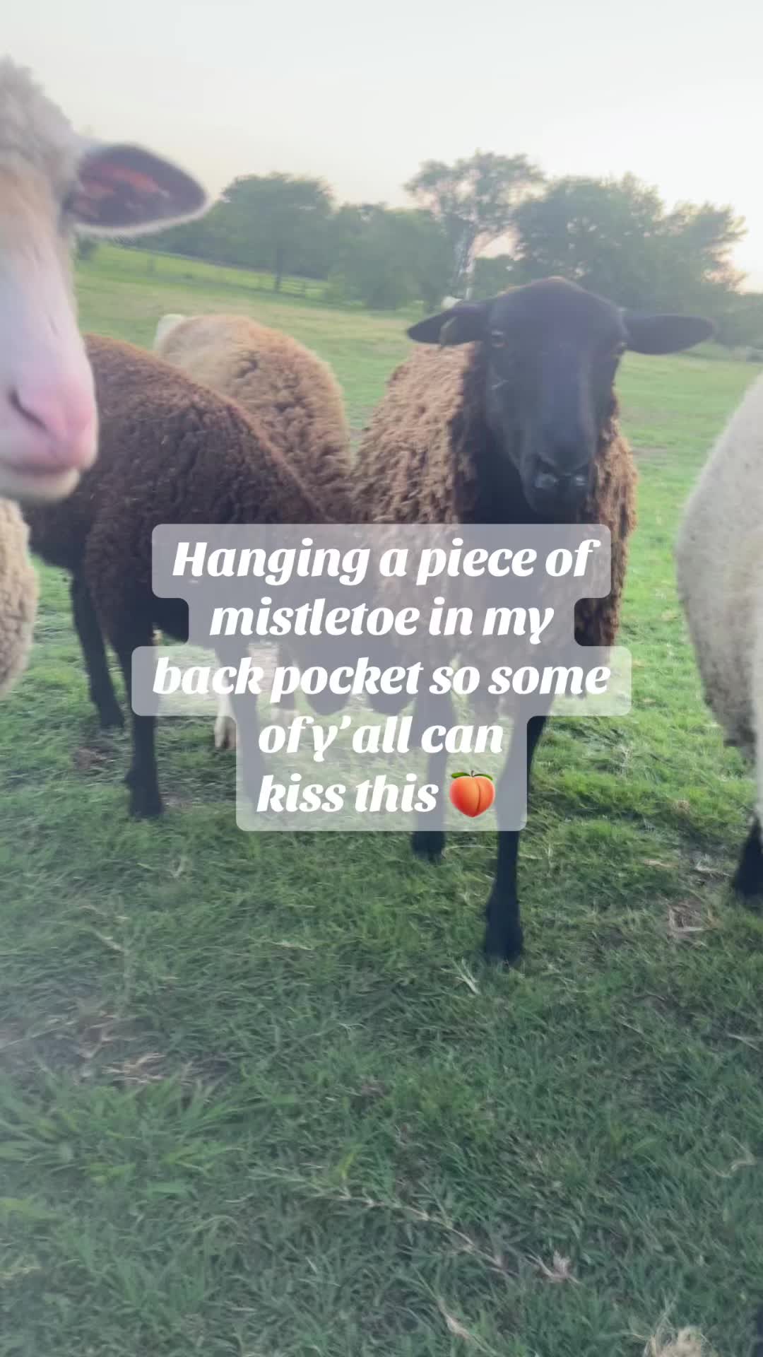 @thefarmstop