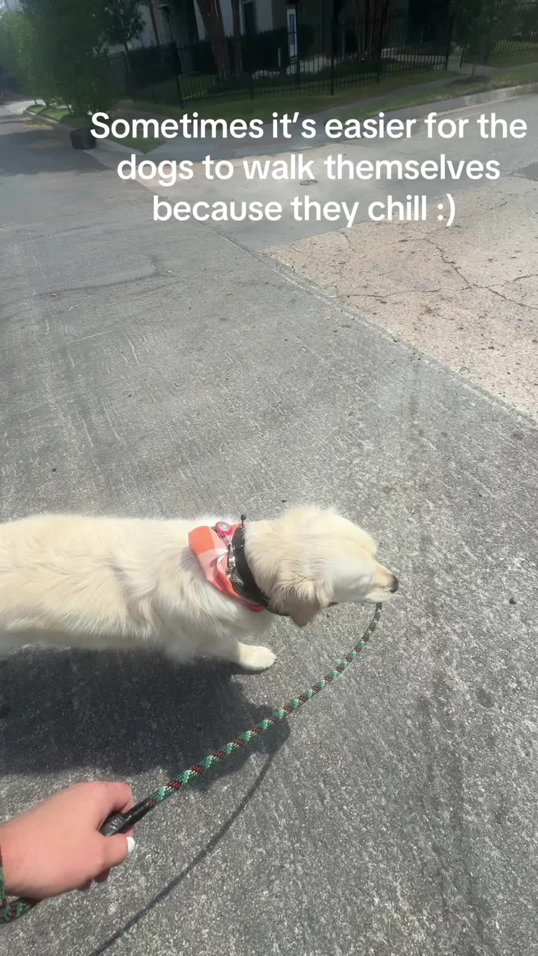 @Clairbbear