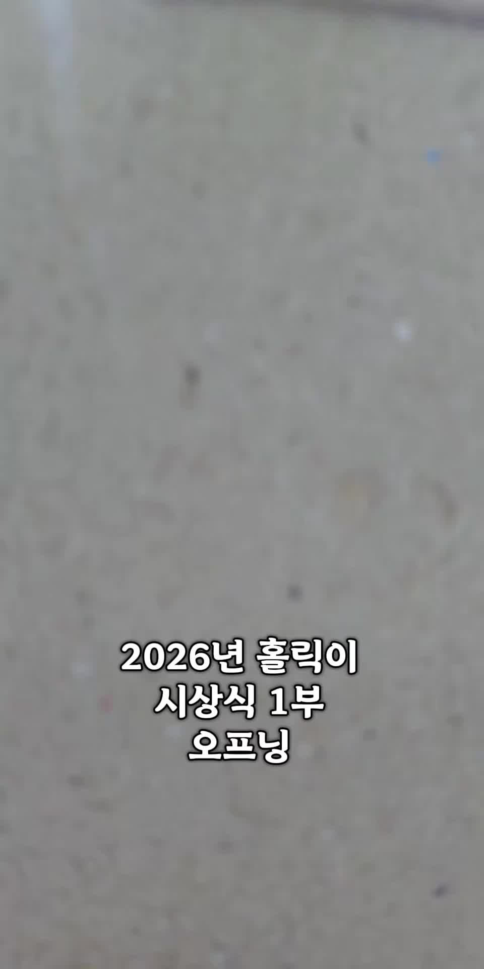 @BS홀릭
