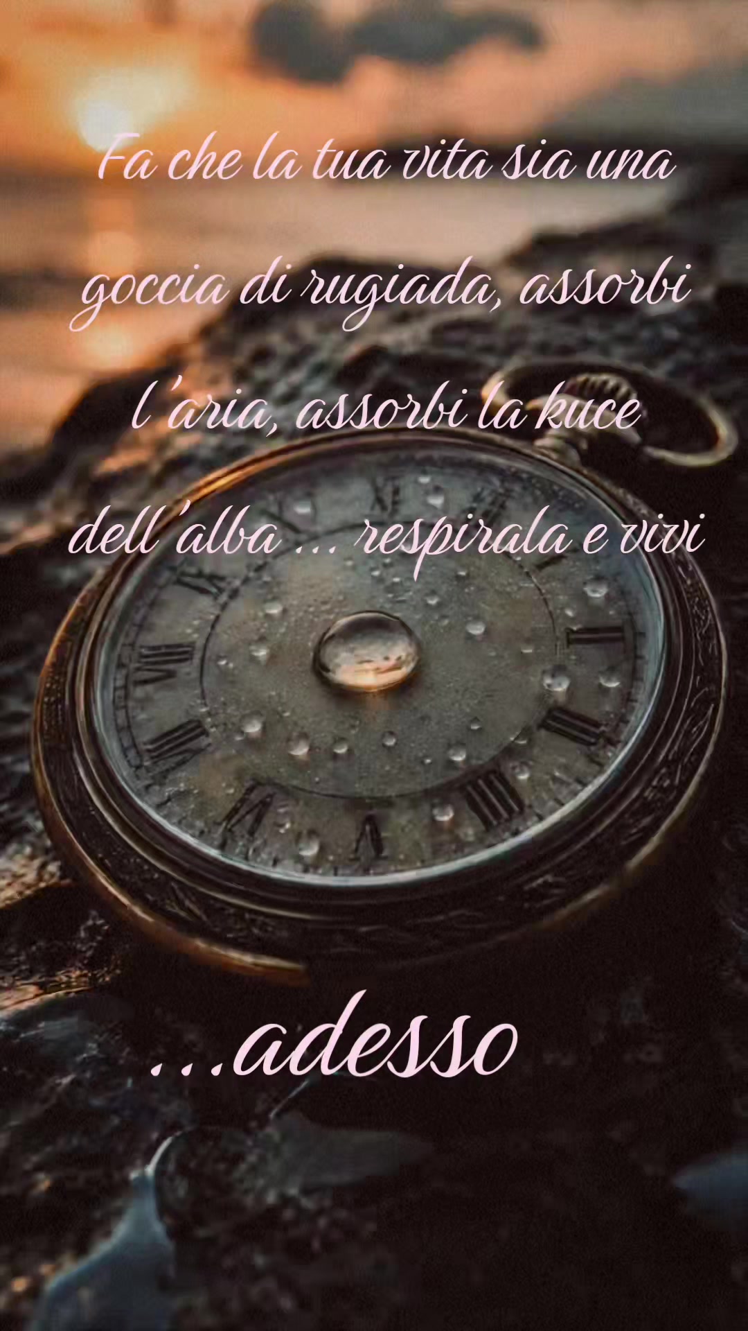 @⛓️🖤Skatola🖤⛓️