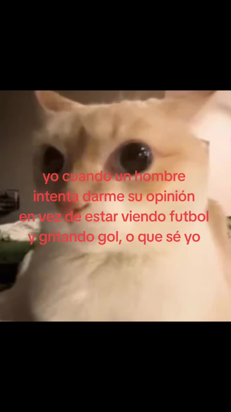 @Nico                 🪳