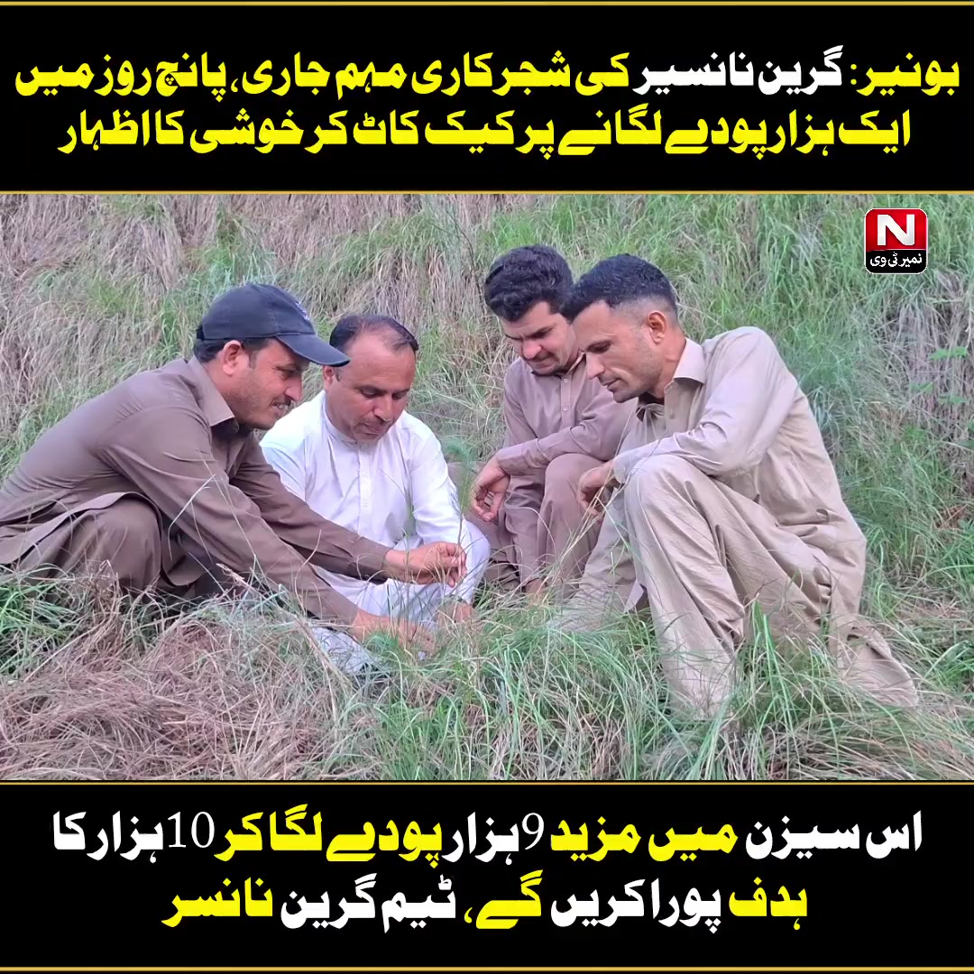@Namair Tv (Najeebullah Najeeb)