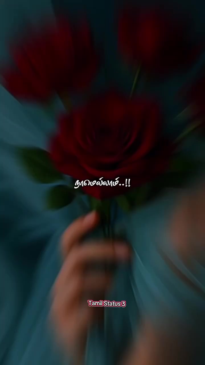 @Tamil Status 🇱🇰