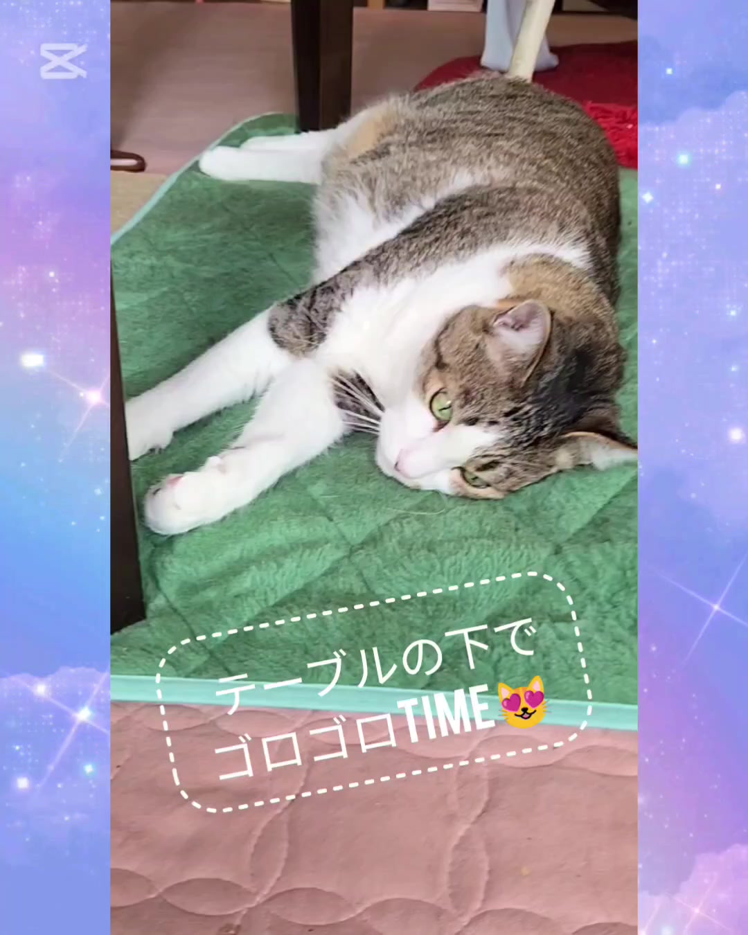 @momo