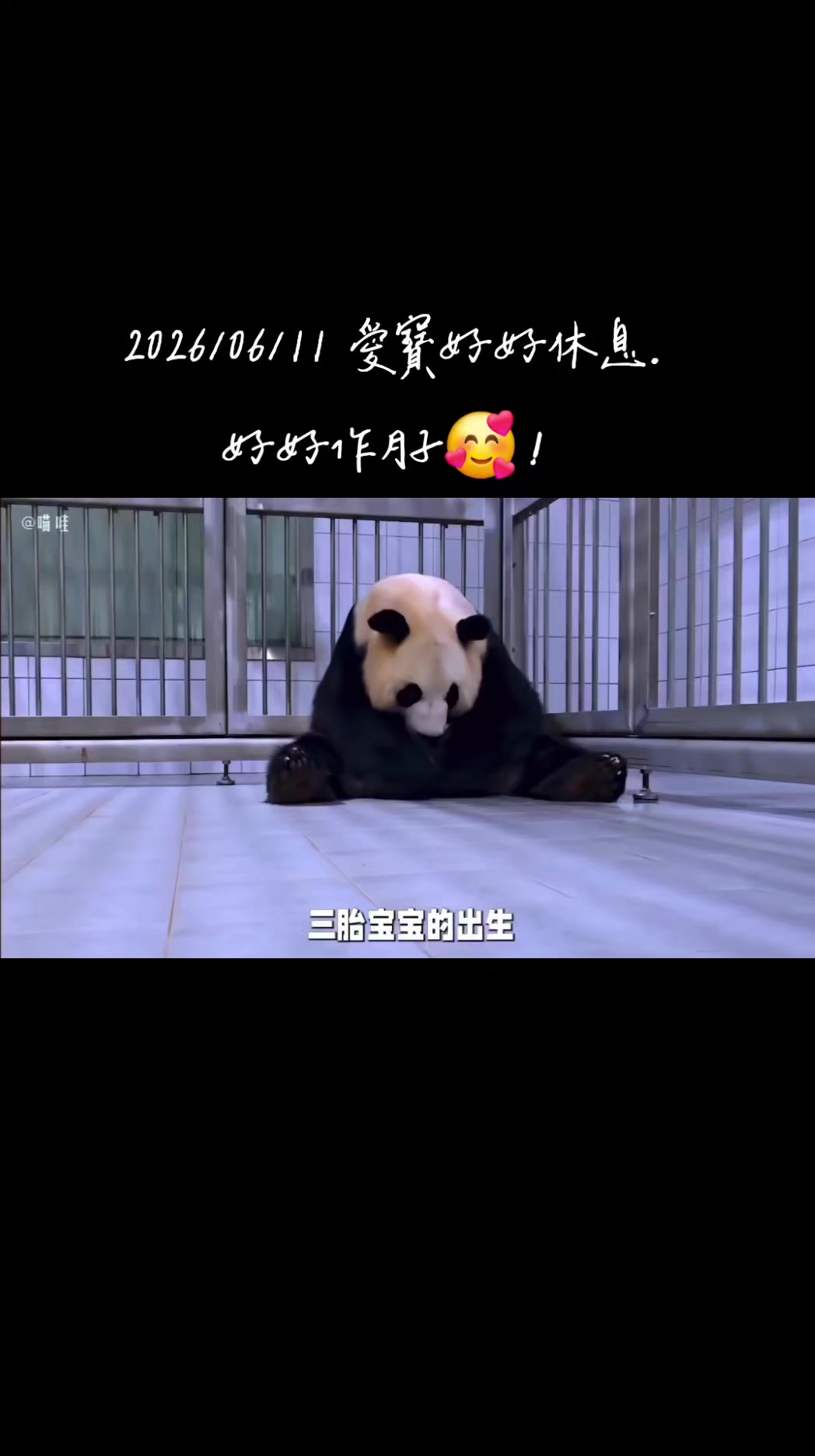 @福寶需要愛的抱抱