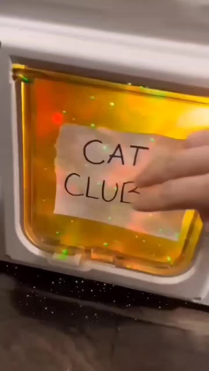 @funnyAnimals