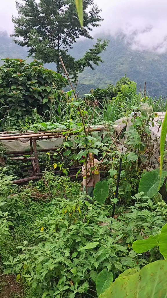 @Krishna Mangyung