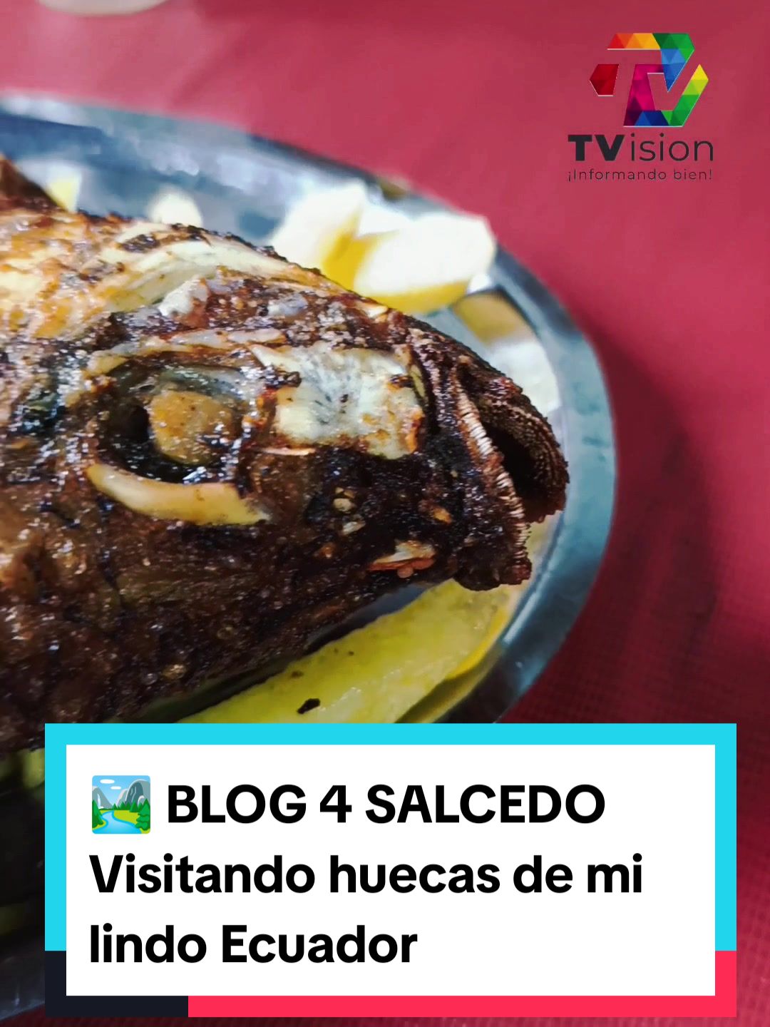 @TVision