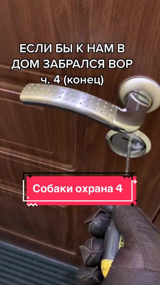 @Йорк Донни 🇺🇦