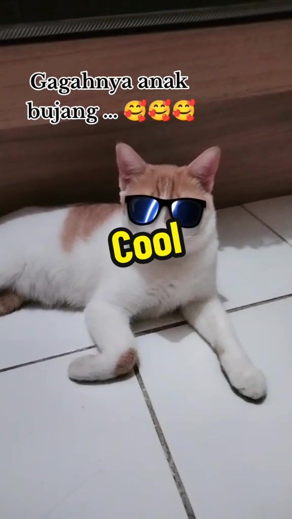 @renialexis