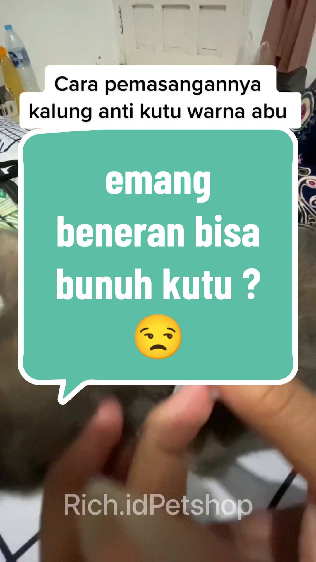 @Rich.id Petshop