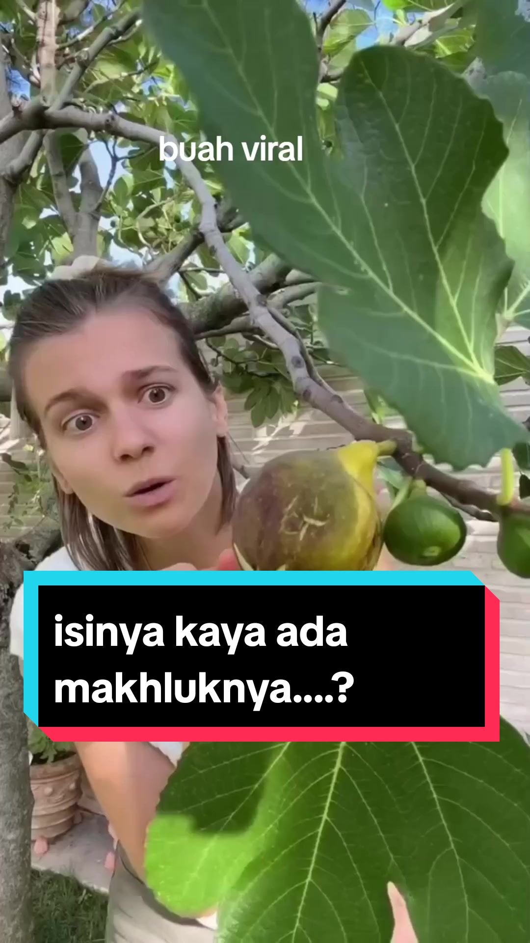 @hanifarm
