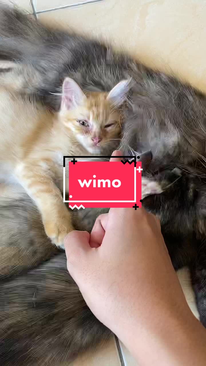 @unothemaincoon