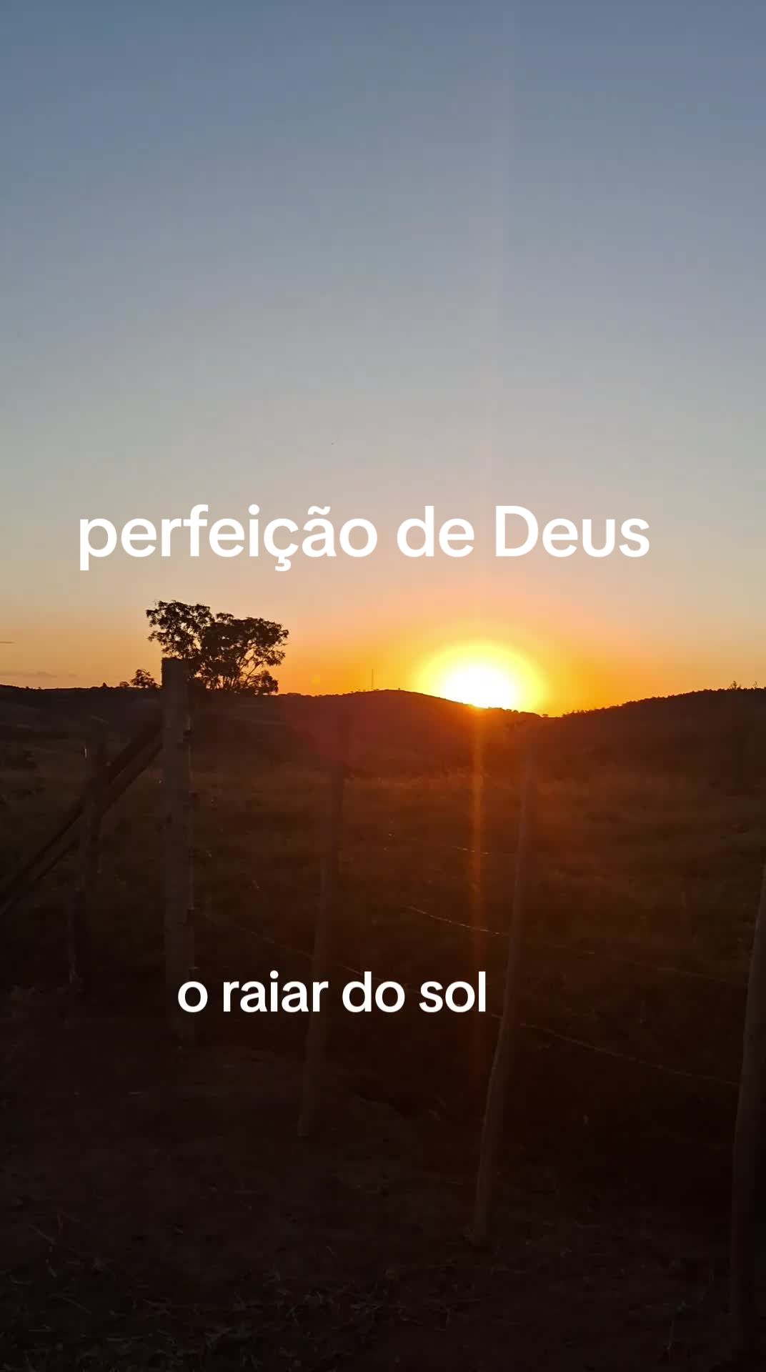 @Joana Morais