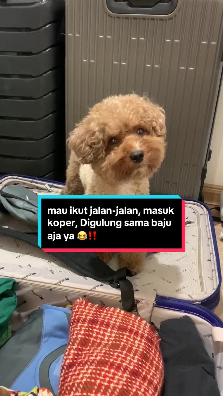 @moou