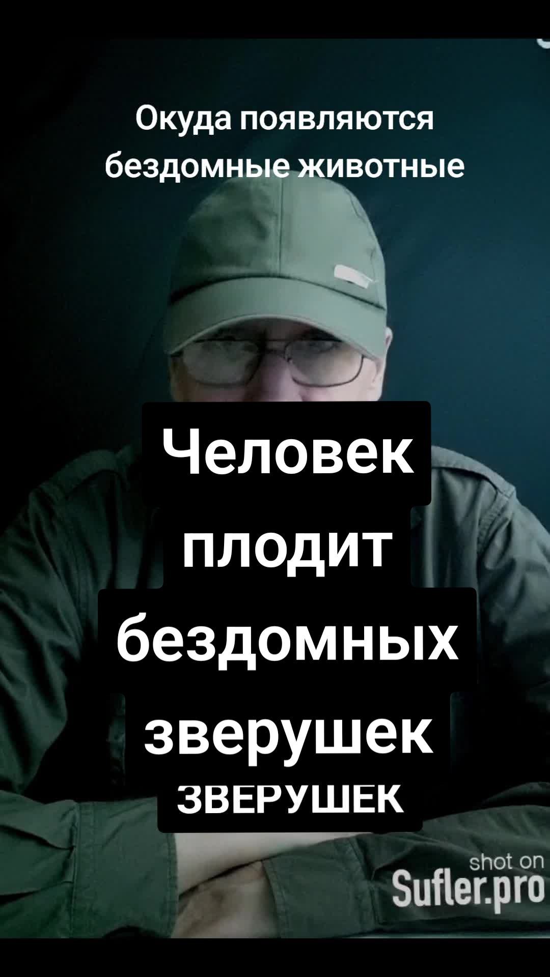 @КОТЫ СОБАКИ И ФИЛОСОФ