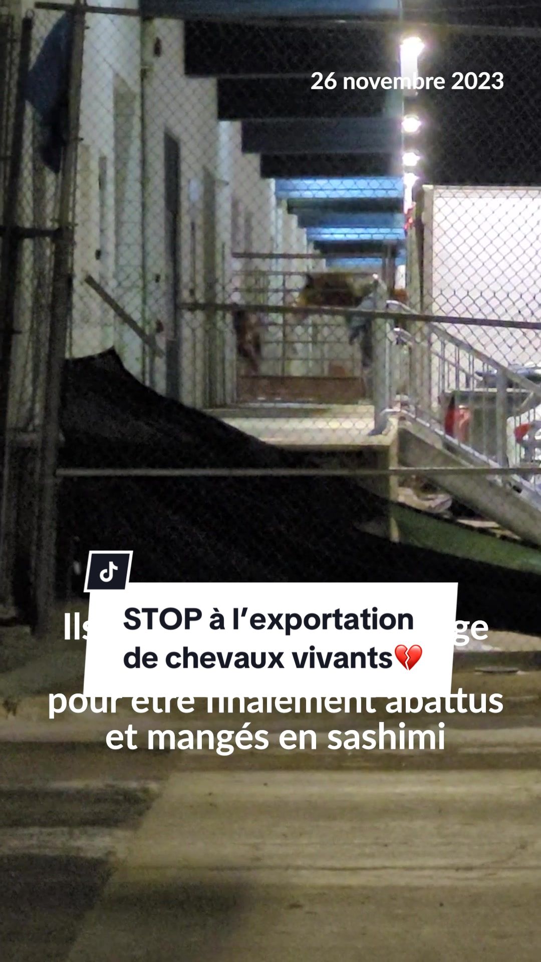 @Montreal SPCA