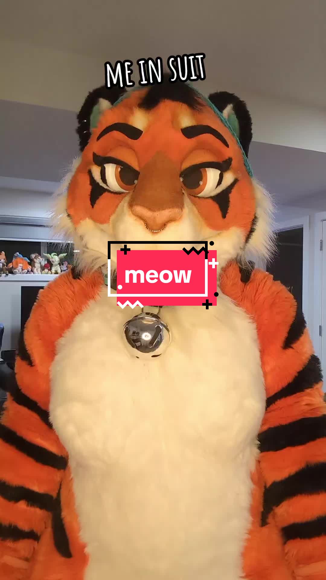 @Tizger