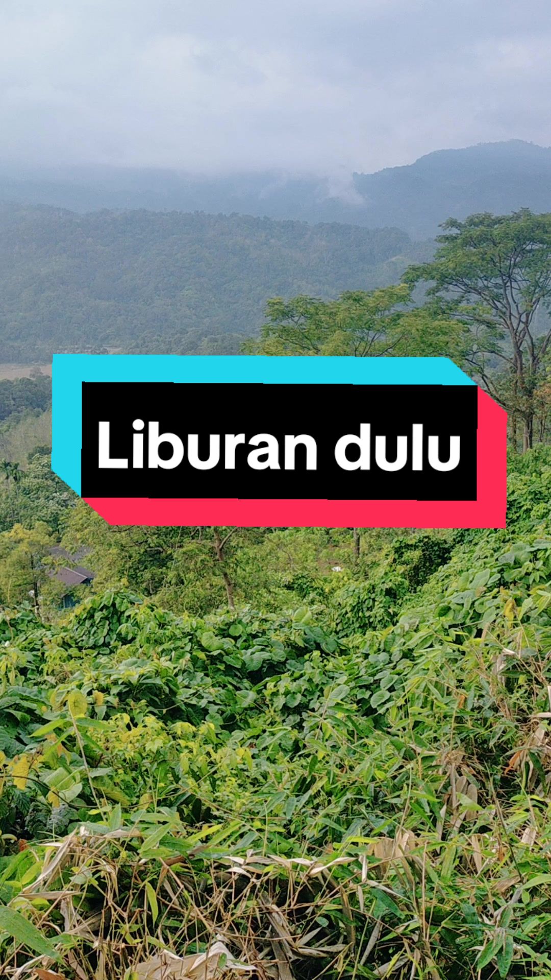 @sawit muratara
