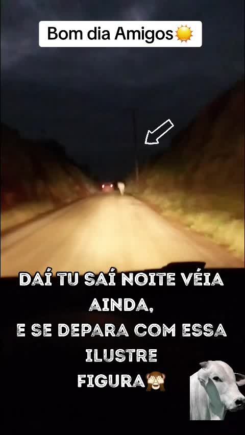 @SRegina