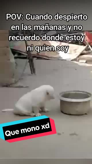 @JugaforXZ