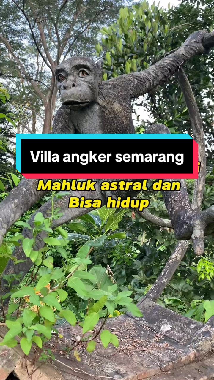 @AKAR MISTERI OFFICIAL