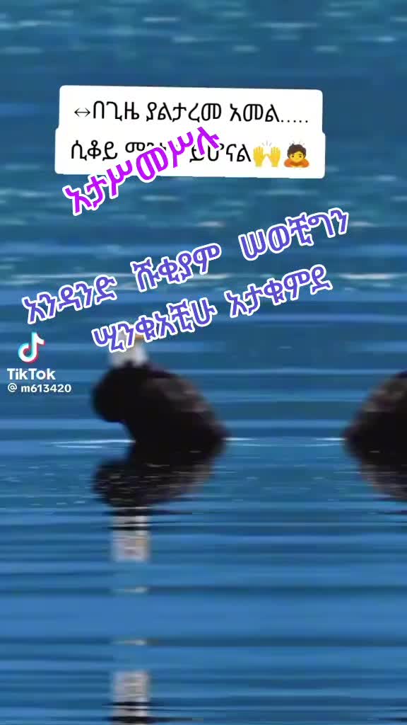 @ትንሿነኚ❤የገነቴዋ
