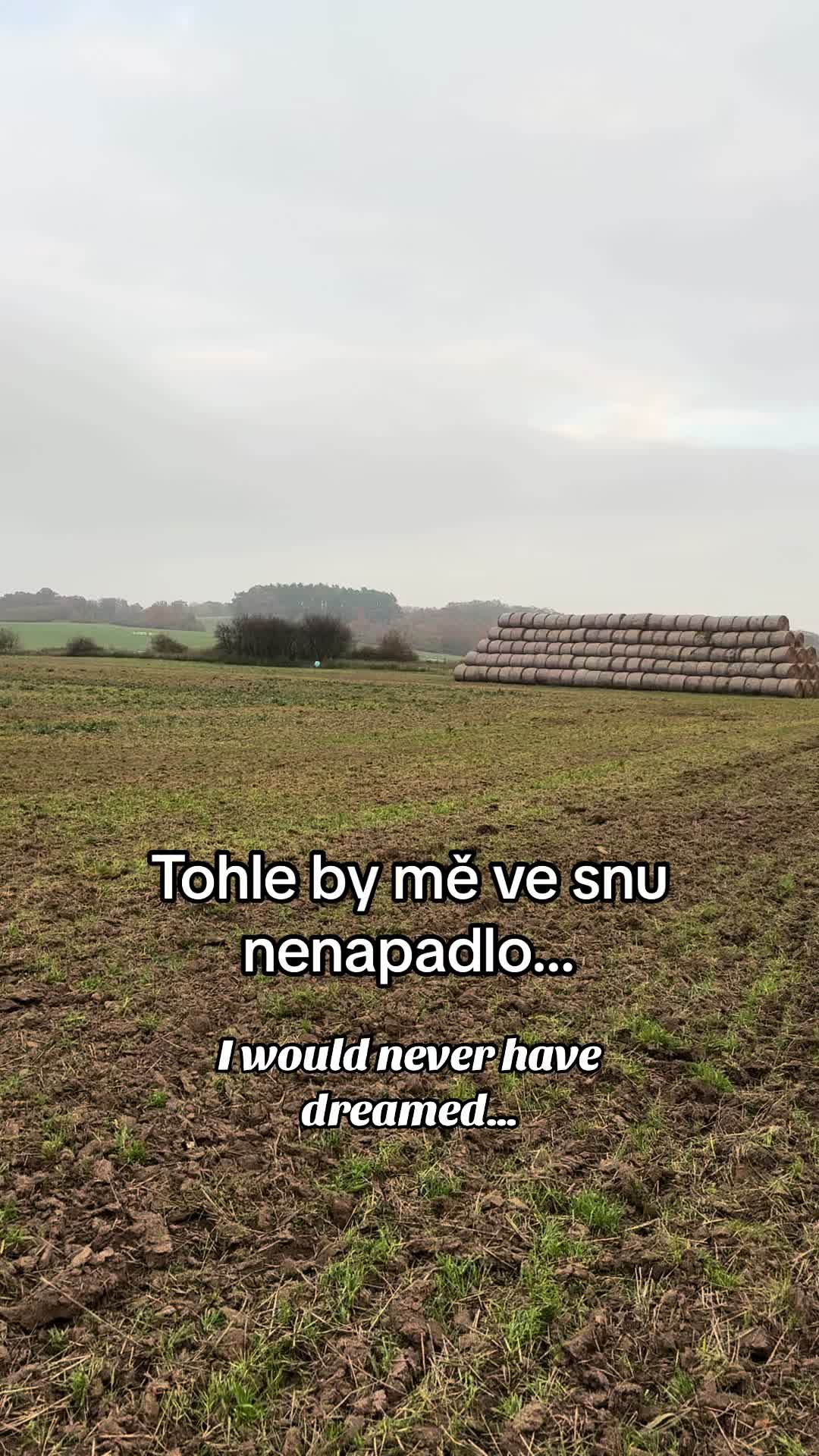 @pavlisima