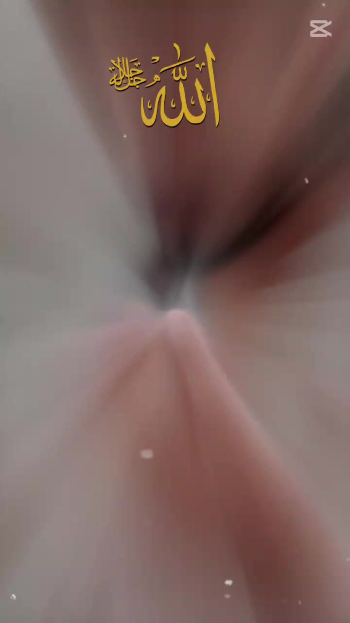 @waseemRajput8535