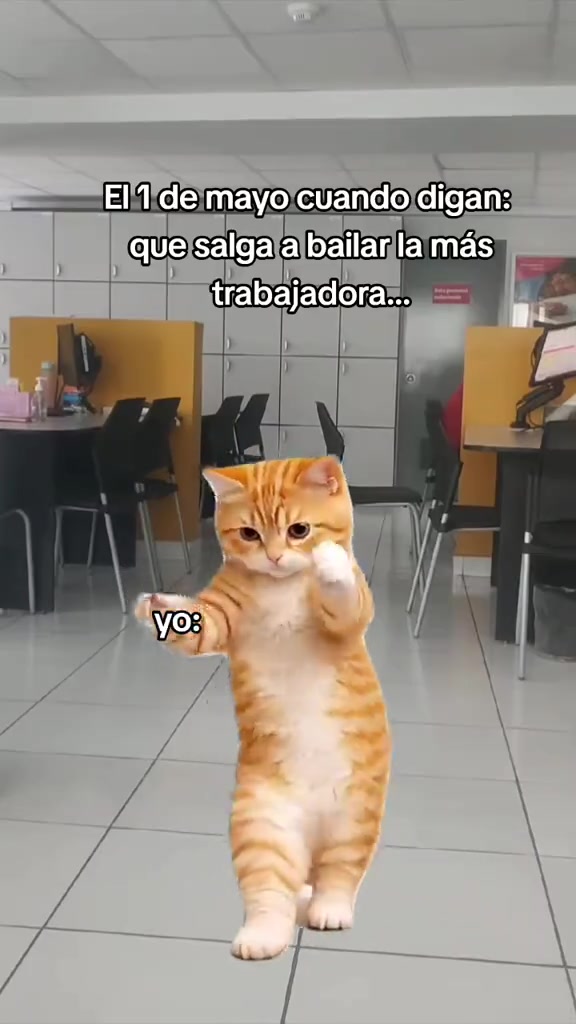 @stefany🇵🇪♡🇺🇸