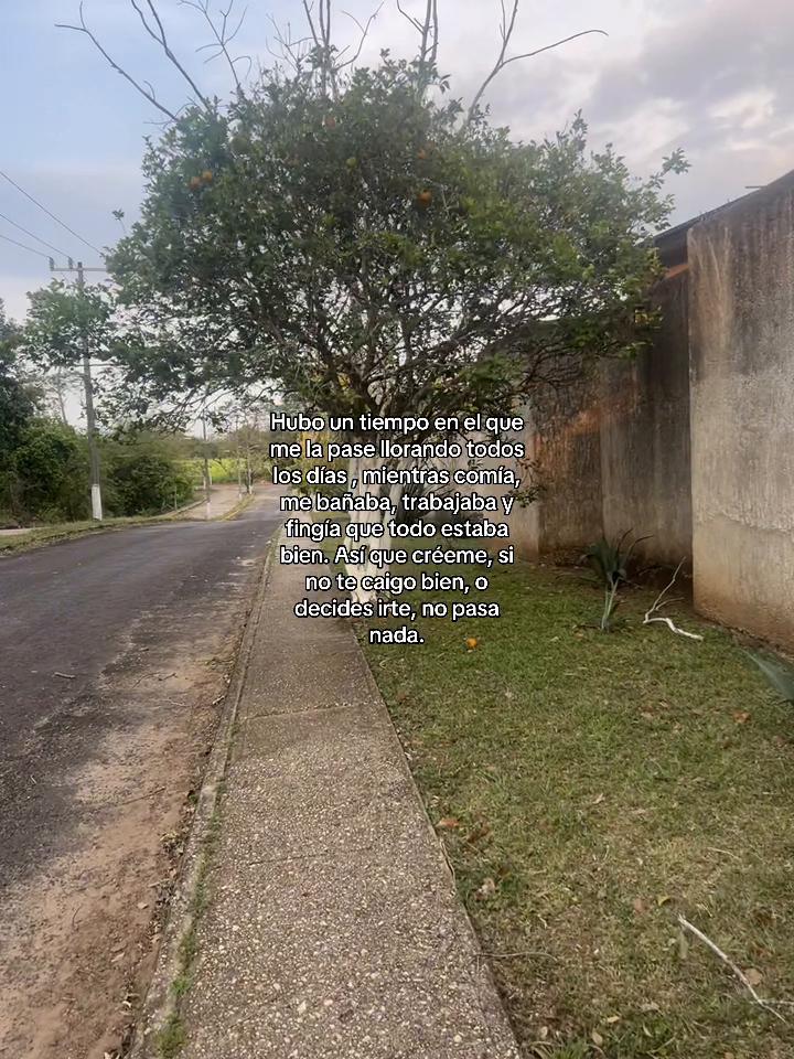 @ℒ𝒶 𝓅𝓁𝒶𝓃𝓉𝒾𝓉𝒶🌱