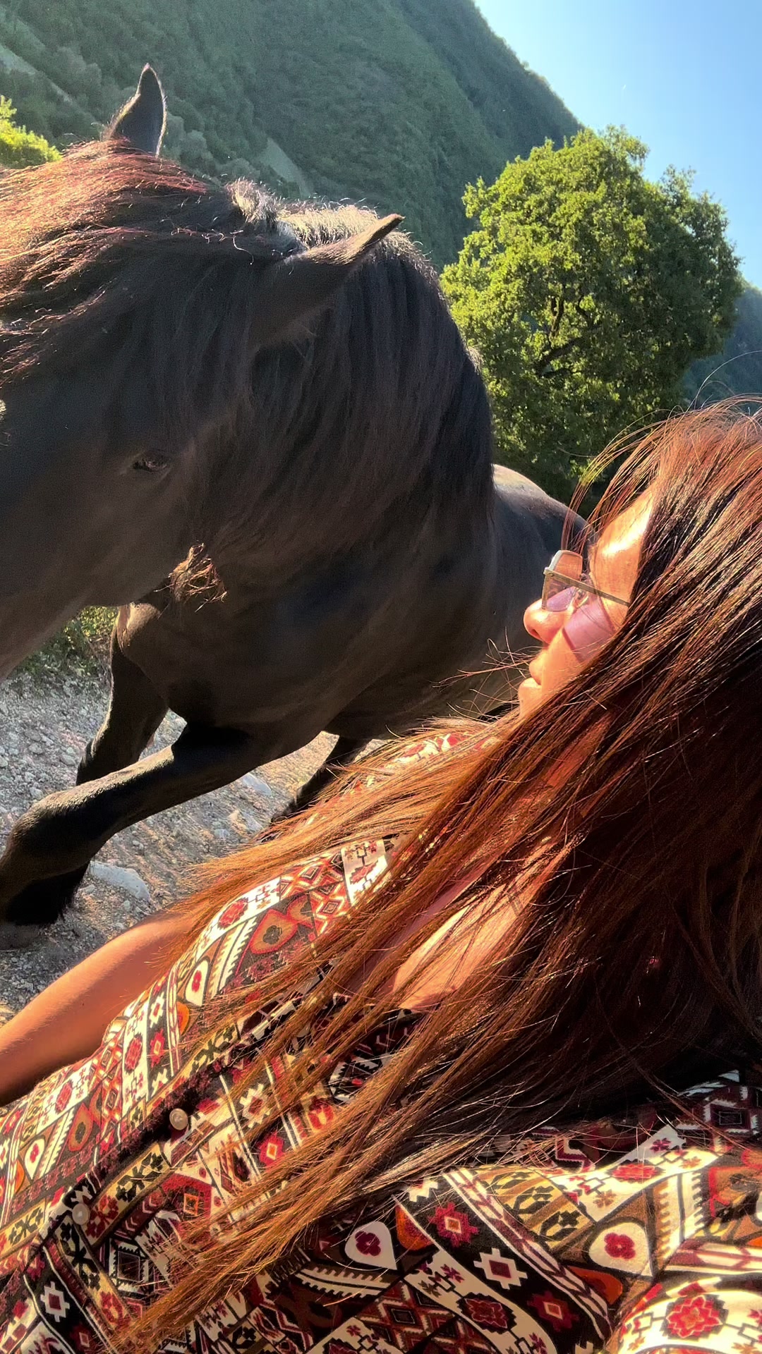 @black_the_friesian