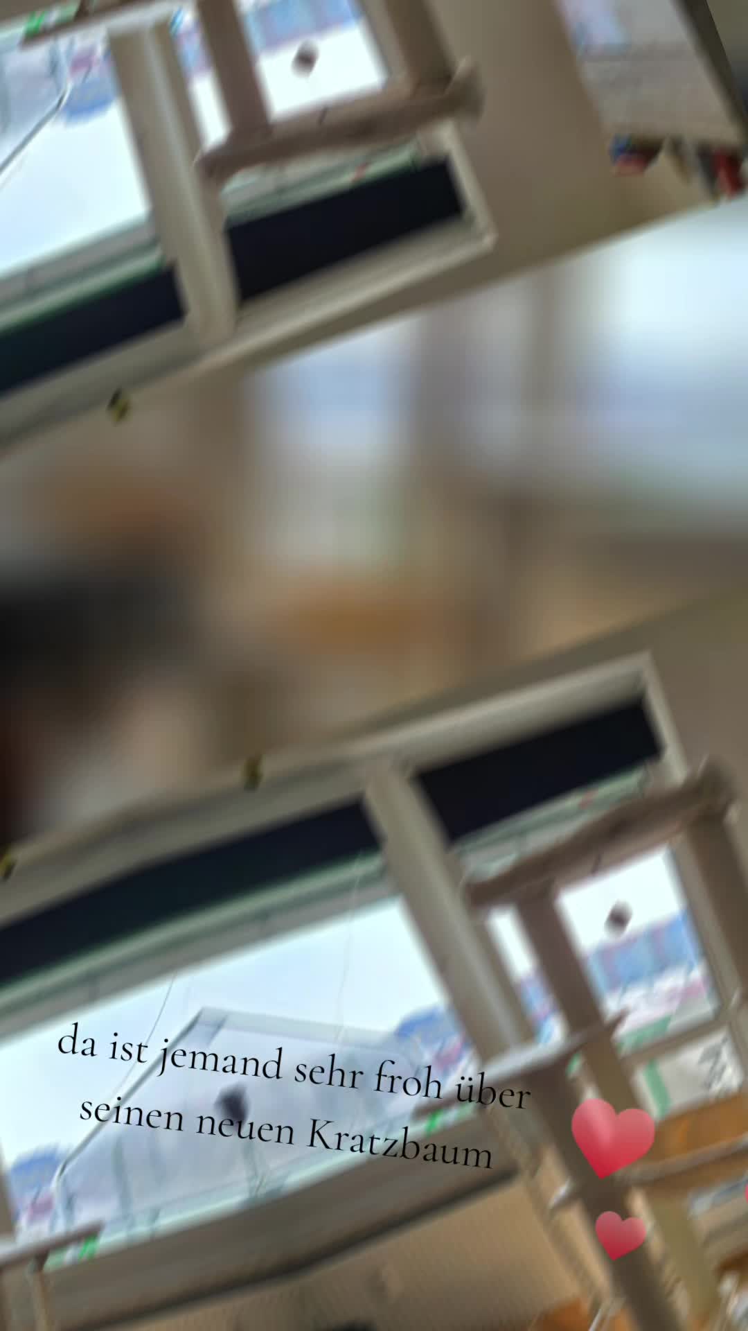 @ð ððŸðððŸð ðâ¡ððð ð