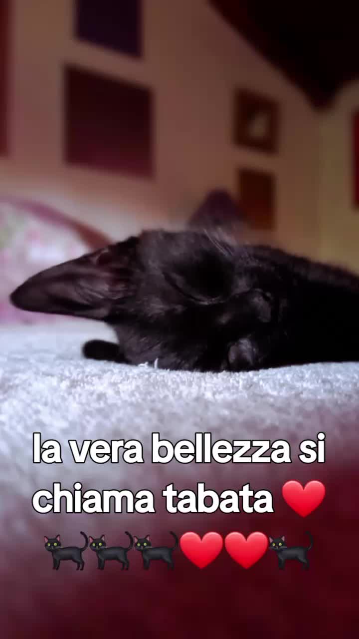 @Ginevra