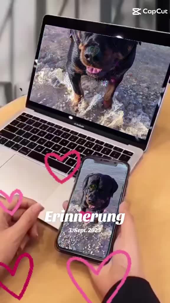 @Nicole❤️Schröder🖤Kowalski ❤️