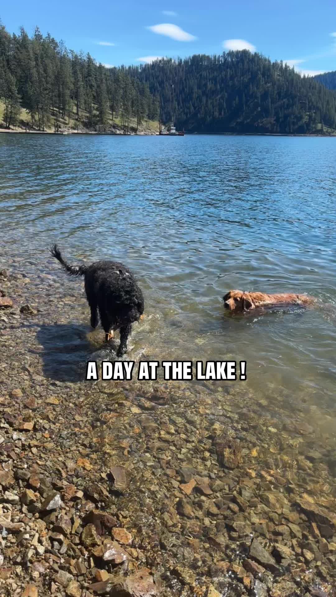 @LennyAndMaple