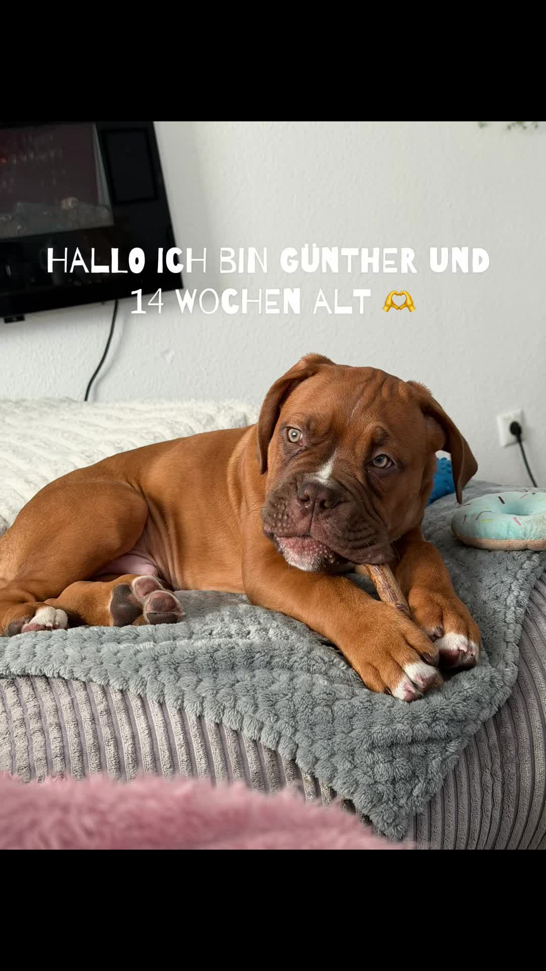 @xxdein.zufallxx