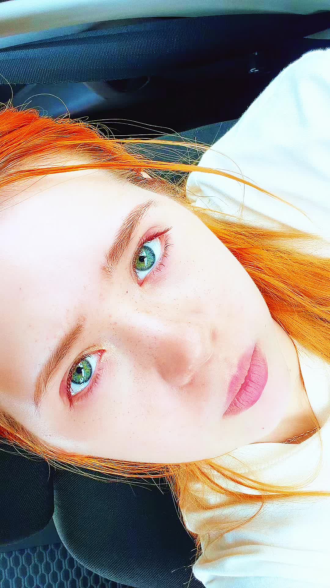 @Van Gogh