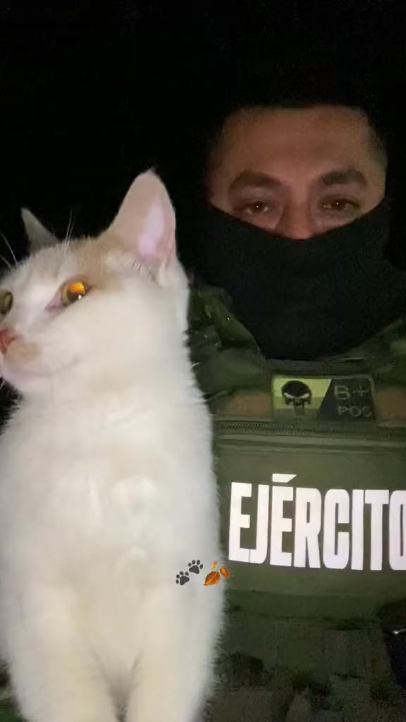@M&auml;ic&ouml;l Ąlexand&euml;r