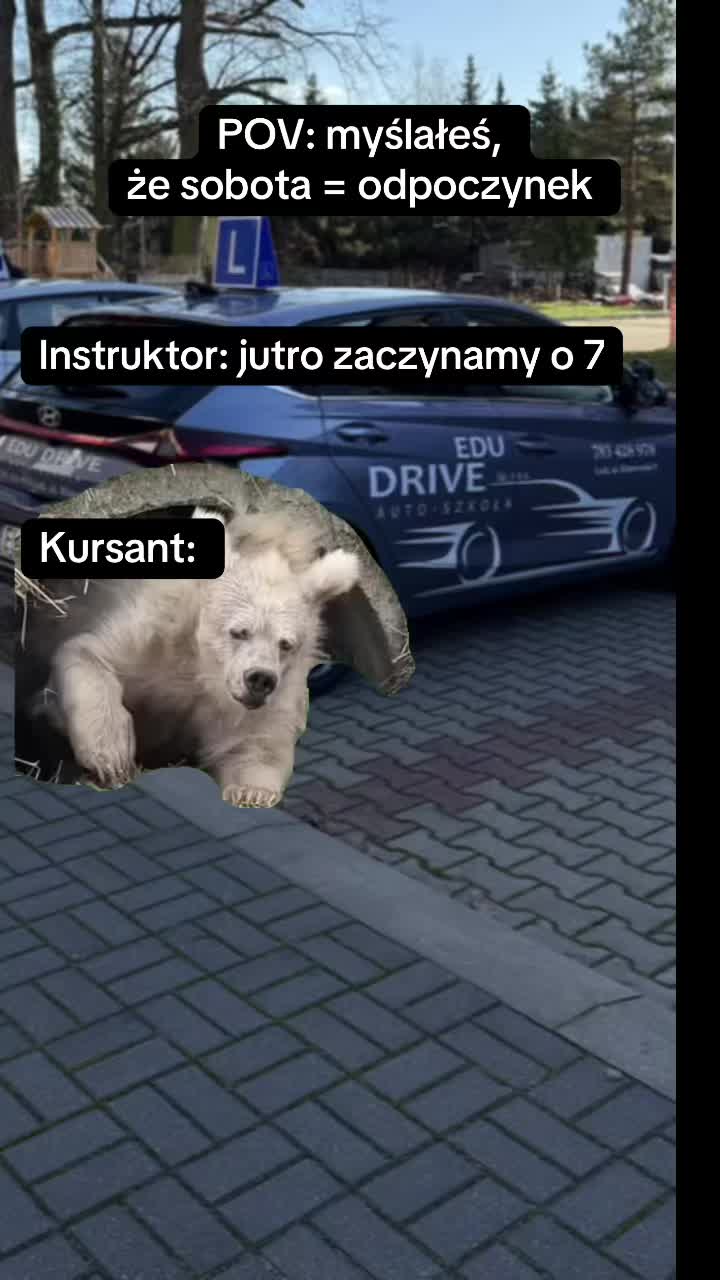 @EduDrive.pl