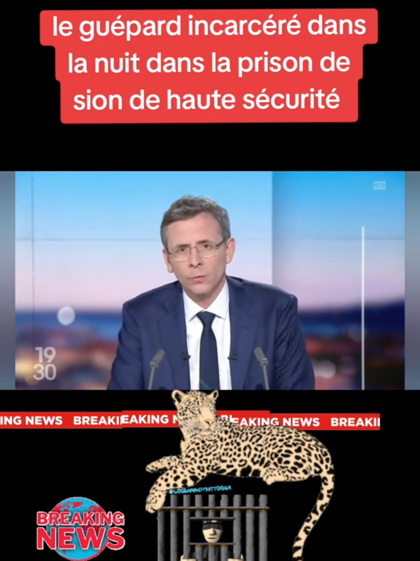 @🧌la.sainte.confr&eacute;rie5🧌