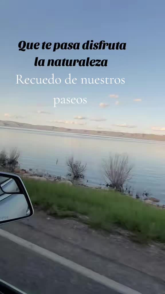 @Mika y Rufi ❤️🐑🕊